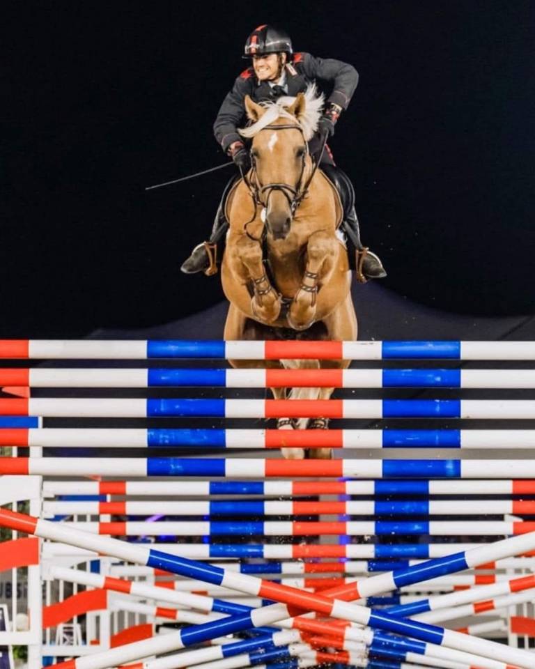 Merrie Selle Fran&ccedil;ais Te koop 2019 Bruin / Bai