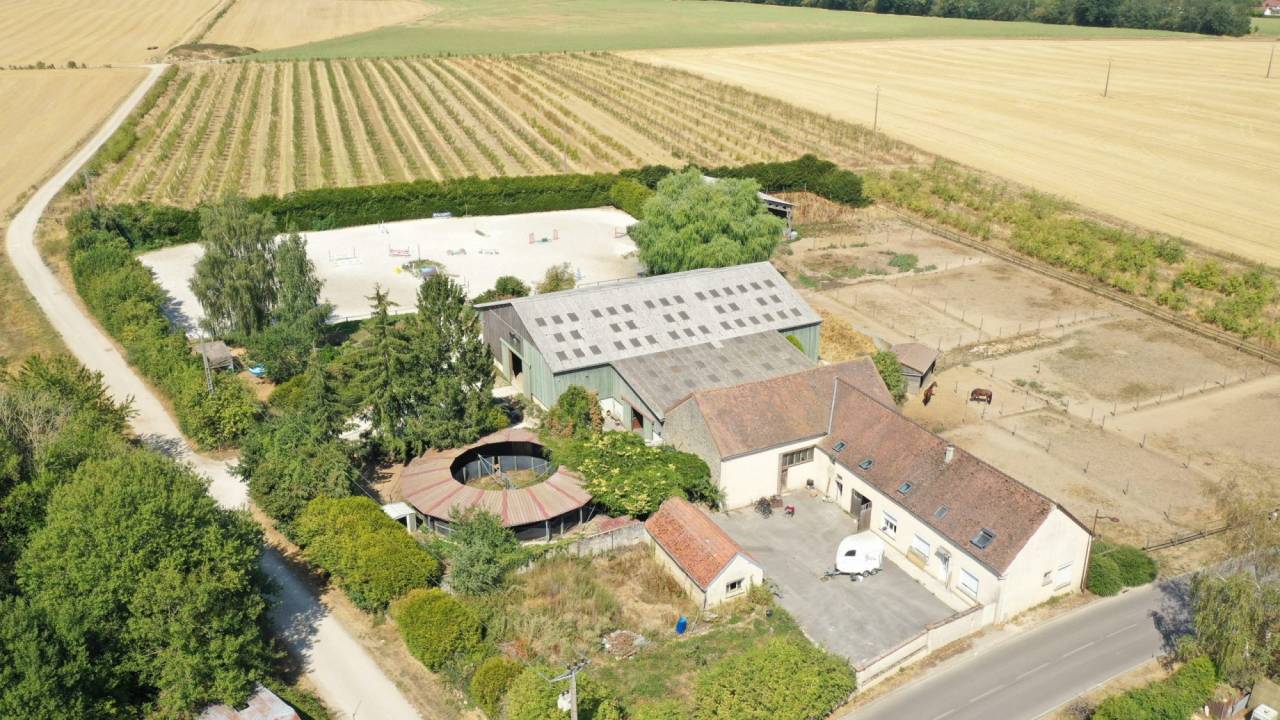 Paarden accommodatie Koop Marne