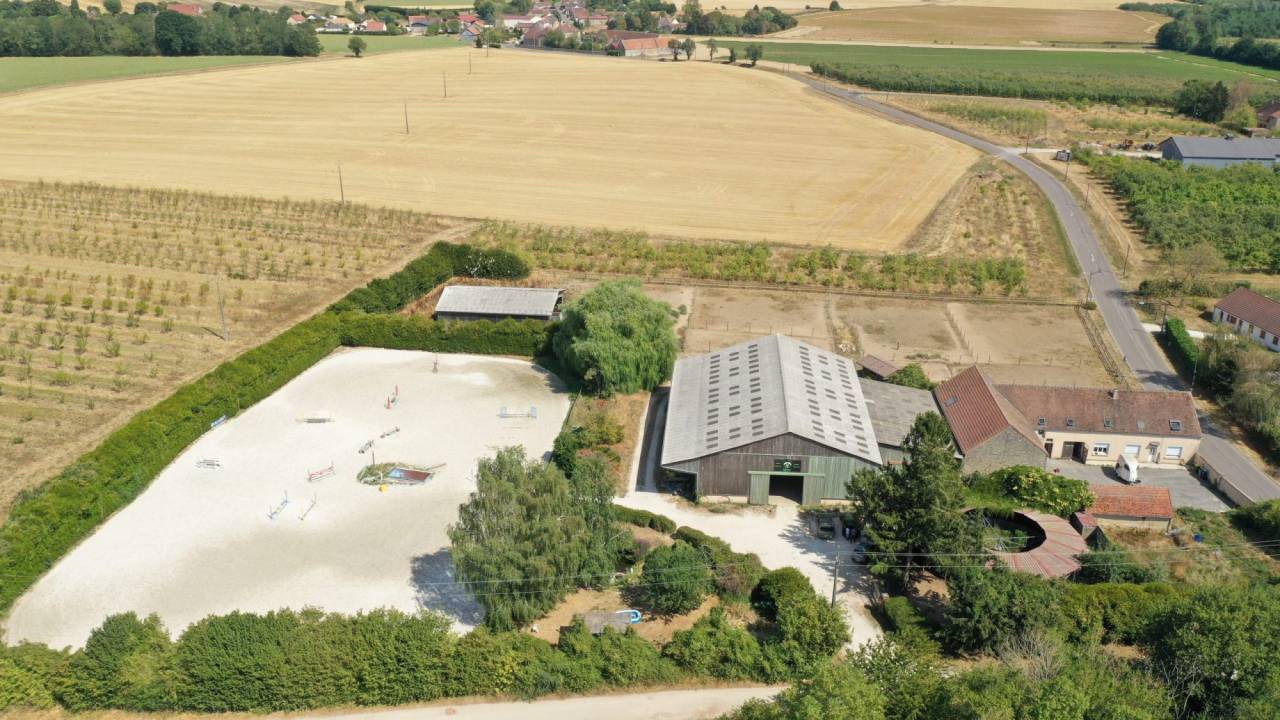 Paarden accommodatie Koop Marne