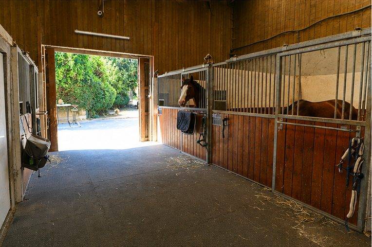 Paarden accommodatie Koop Marne