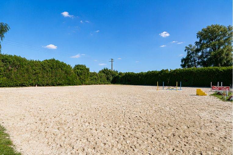Paarden accommodatie Koop Marne