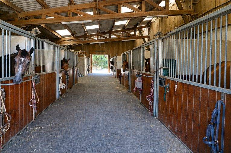 Paarden accommodatie Koop Marne