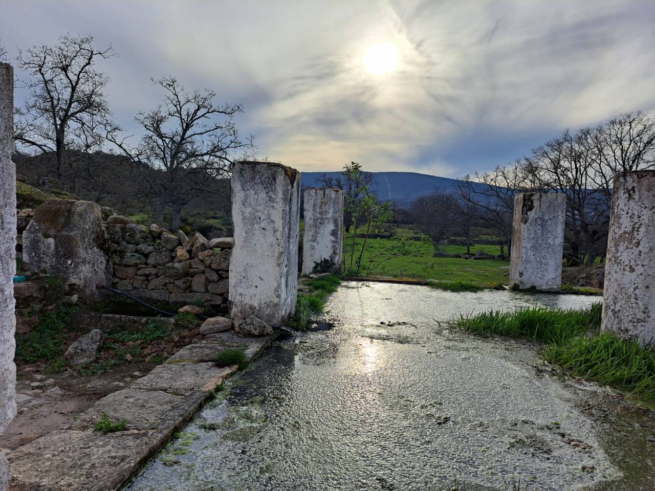 Estate with House and Outbuildings 134 ha Spain