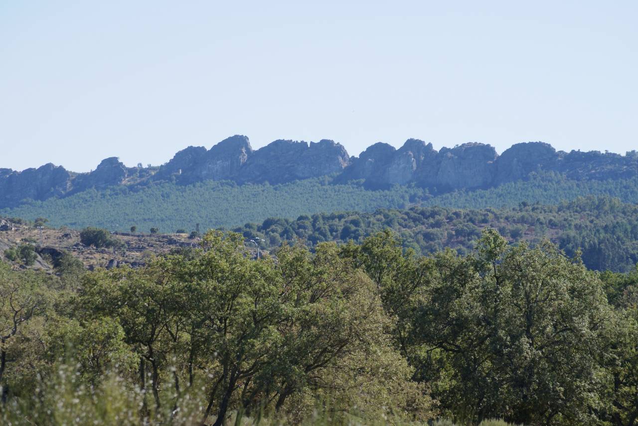 Estate with House and Outbuildings 134 ha Spain