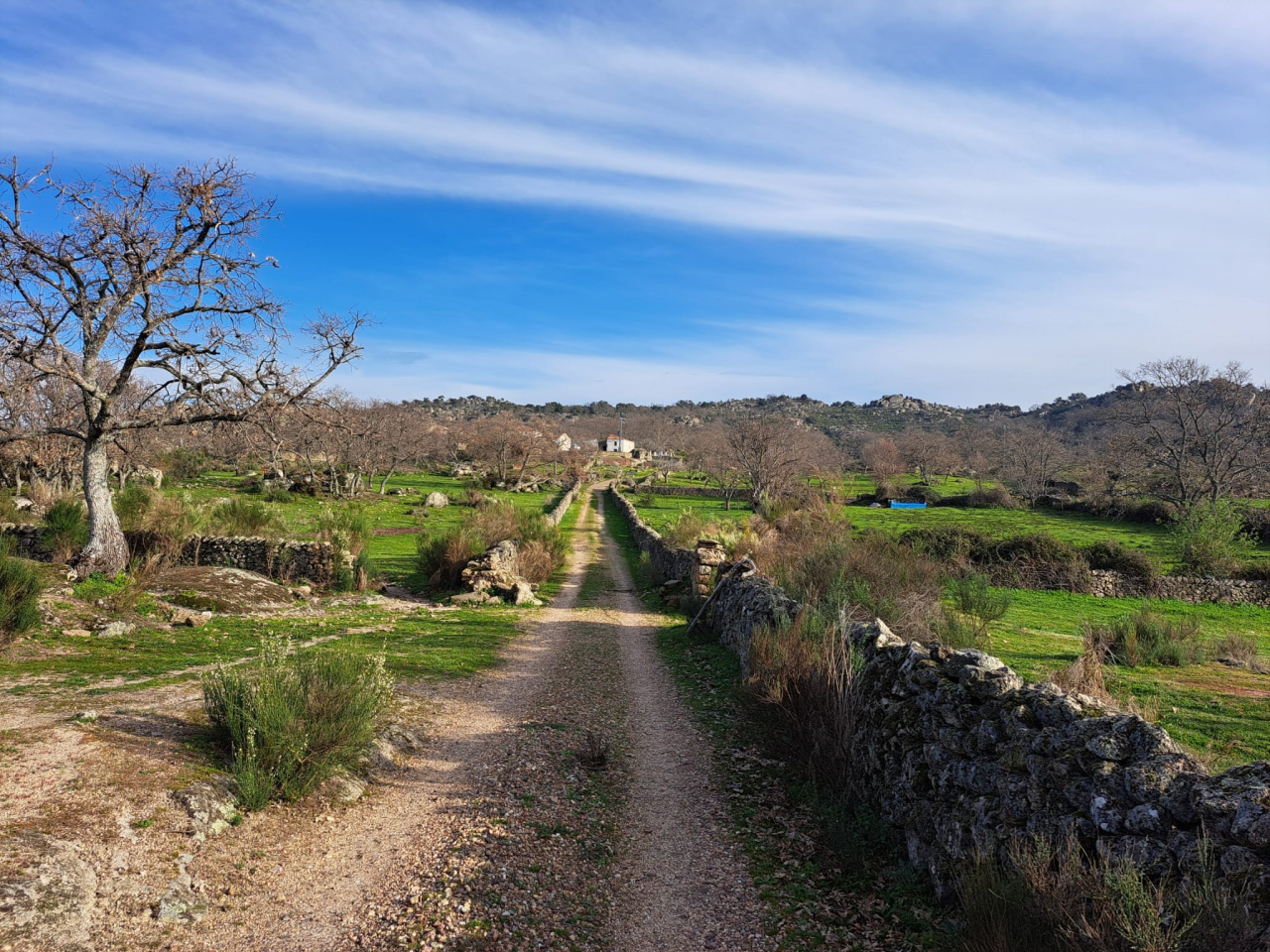 Estate with House and Outbuildings 134 ha Spain
