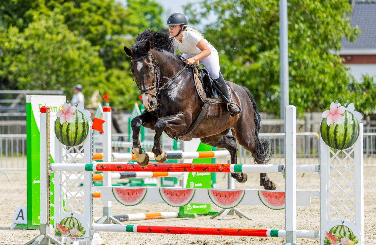 Betrouwbare BWP-ruin van 14 jaar: Springen en recreatie