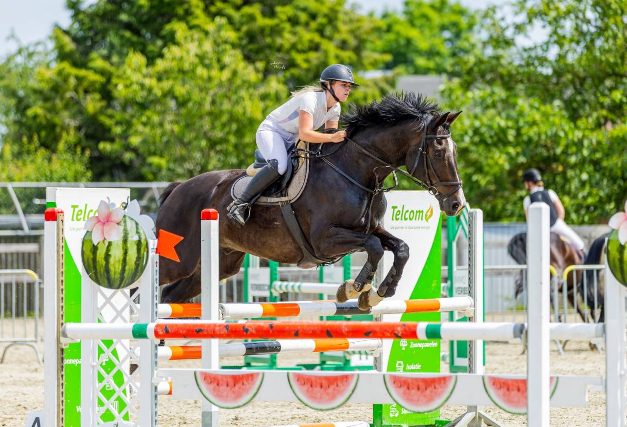 Betrouwbare BWP-ruin van 14 jaar: Springen en recreatie