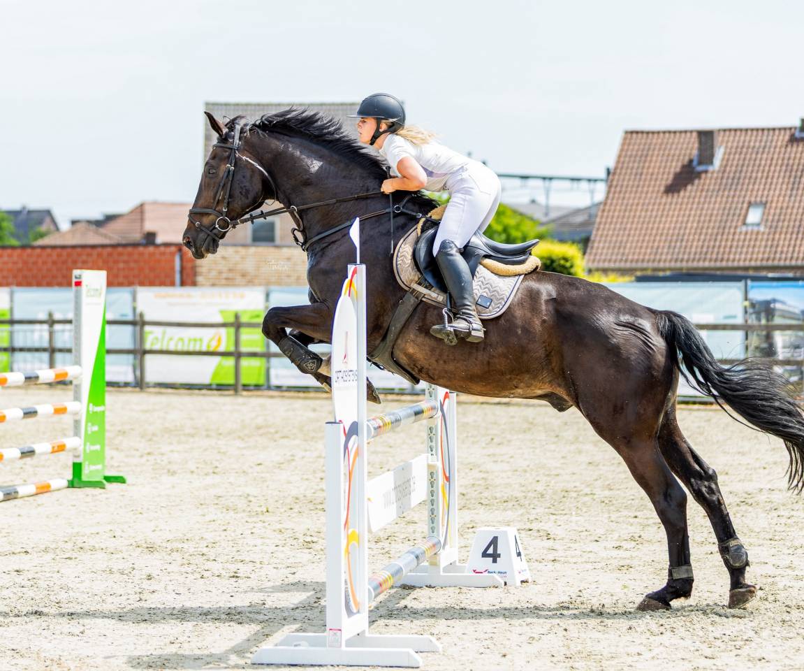 Betrouwbare BWP-ruin van 14 jaar: Springen en recreatie
