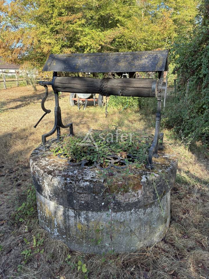 Hippisch vastgoed Koop Sa&ocirc;ne-et-Loire