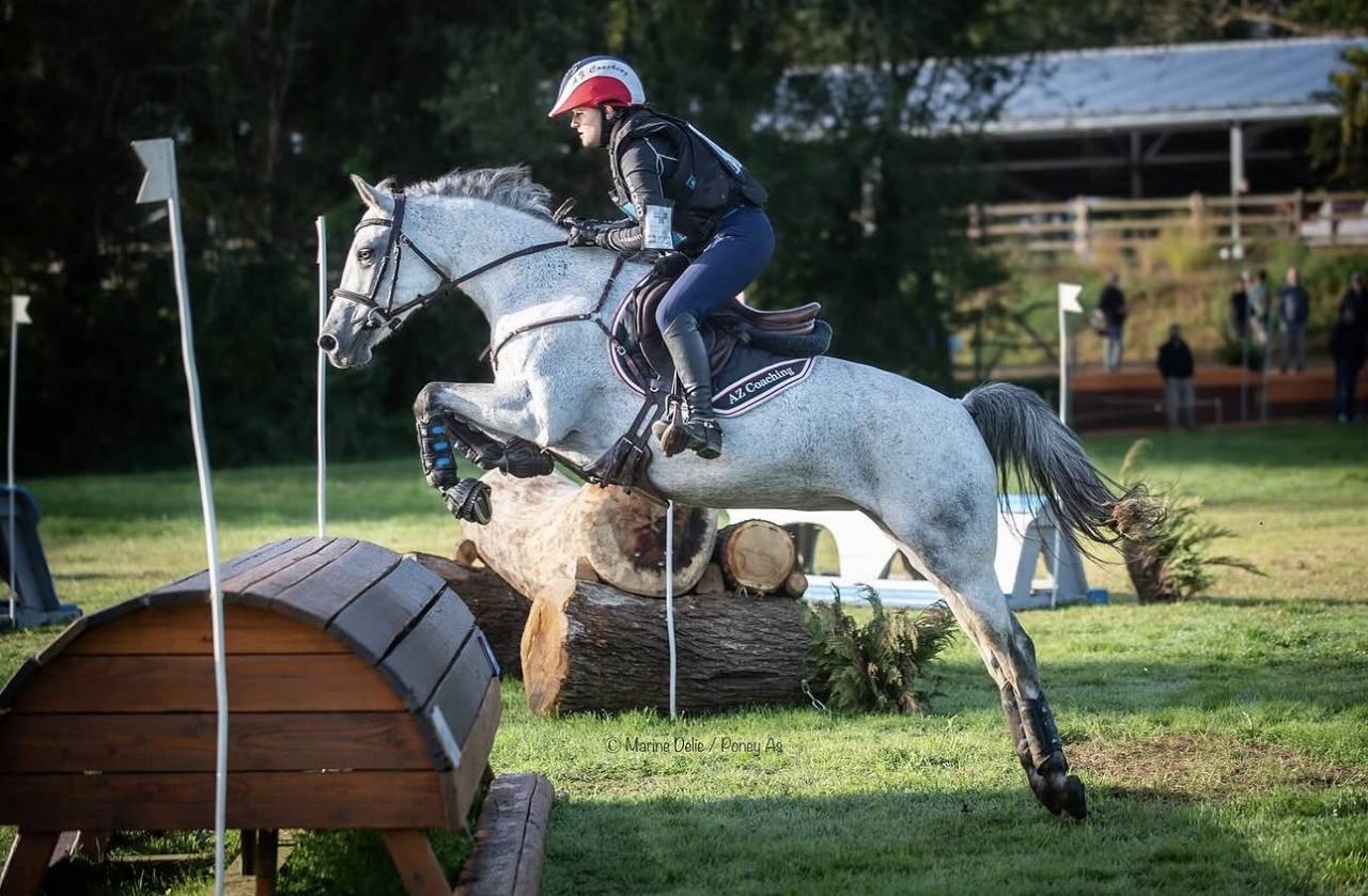 Merrie Connemara Te leen 2014 Schimmel ,  HEROS VAN DE GROENWEG (BEL)