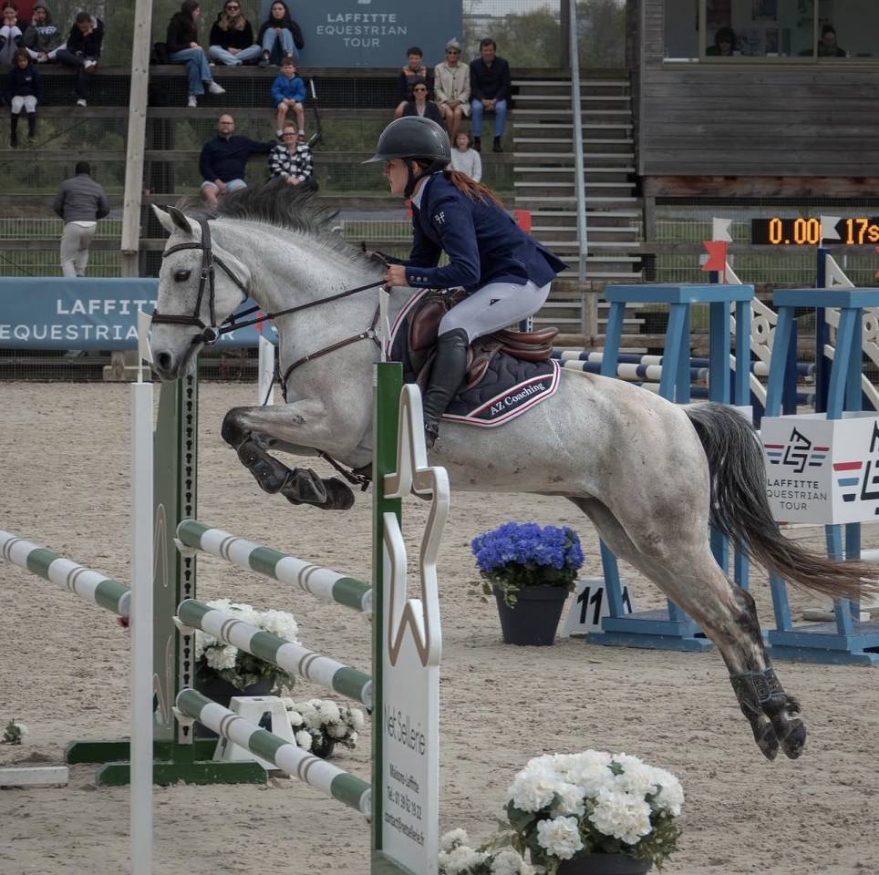 Merrie Connemara Te leen 2014 Schimmel ,  HEROS VAN DE GROENWEG (BEL)