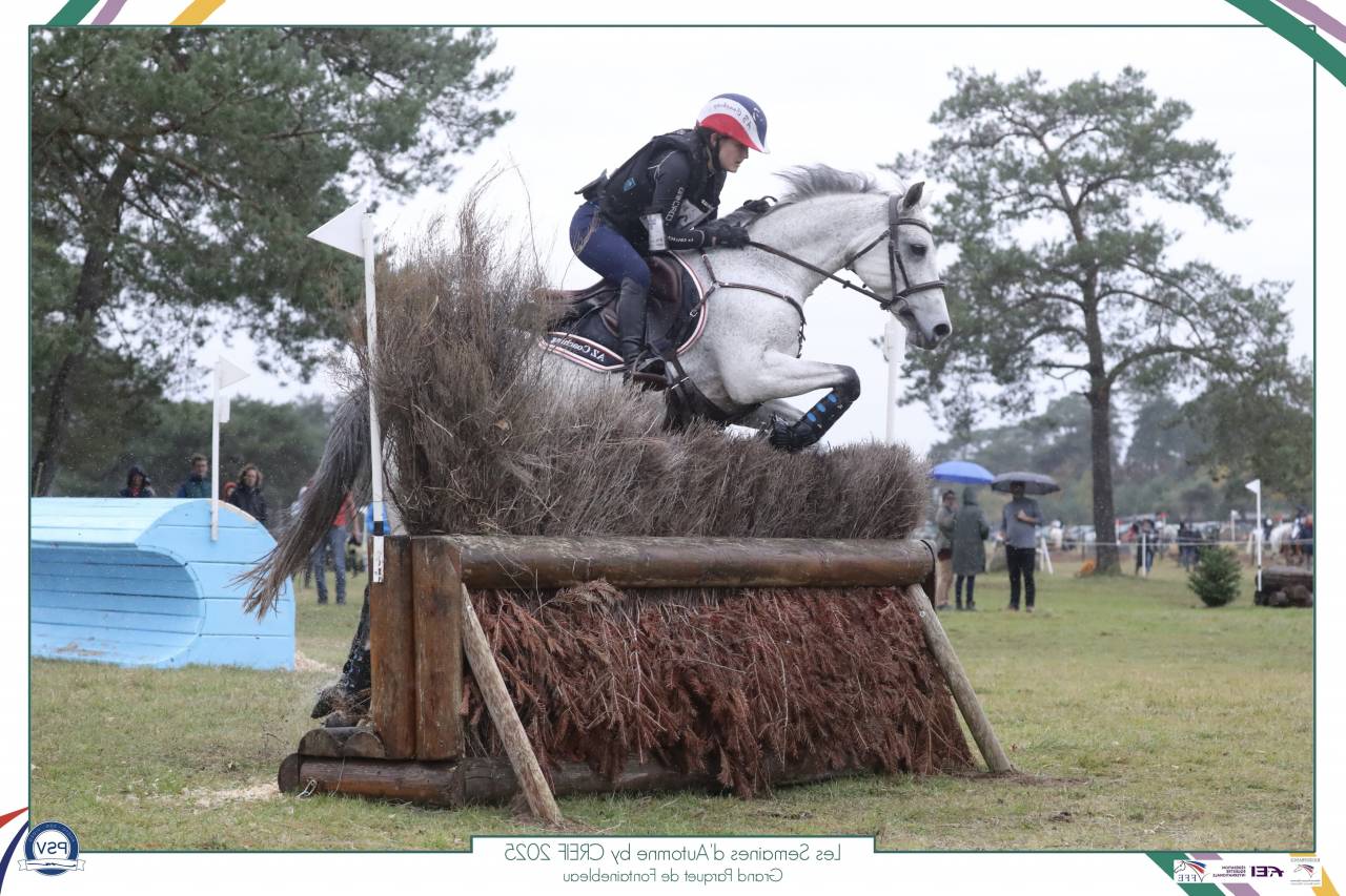Merrie Connemara Te leen 2014 Schimmel ,  HEROS VAN DE GROENWEG (BEL)