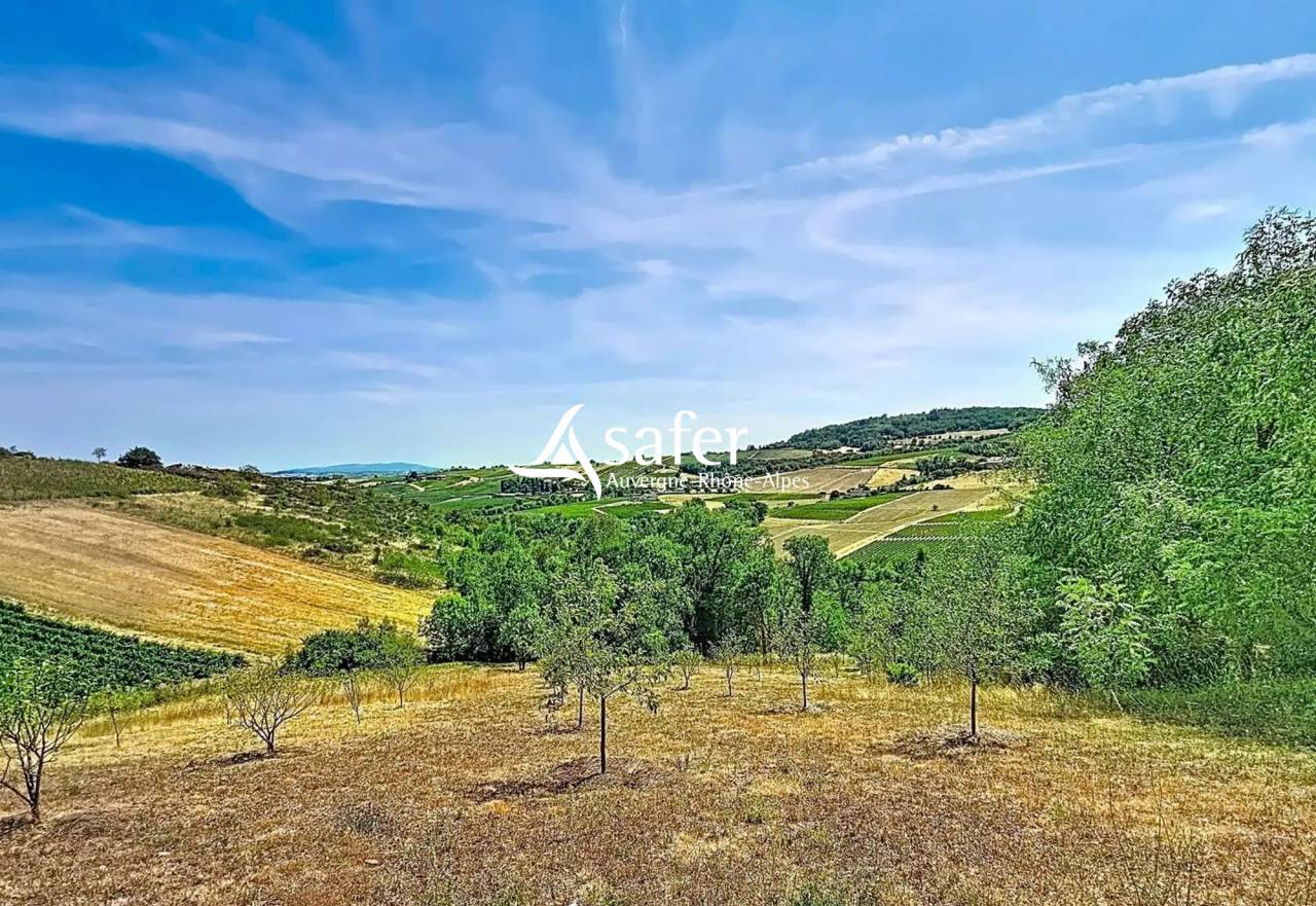 Ander plattelands vastgoed Koop Rh&ocirc;ne
