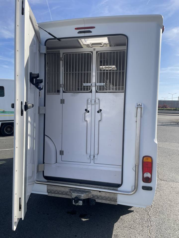 Kleine paardenvrachtwagen (B rijbewijs) Barbot master 2021 Tweedehands