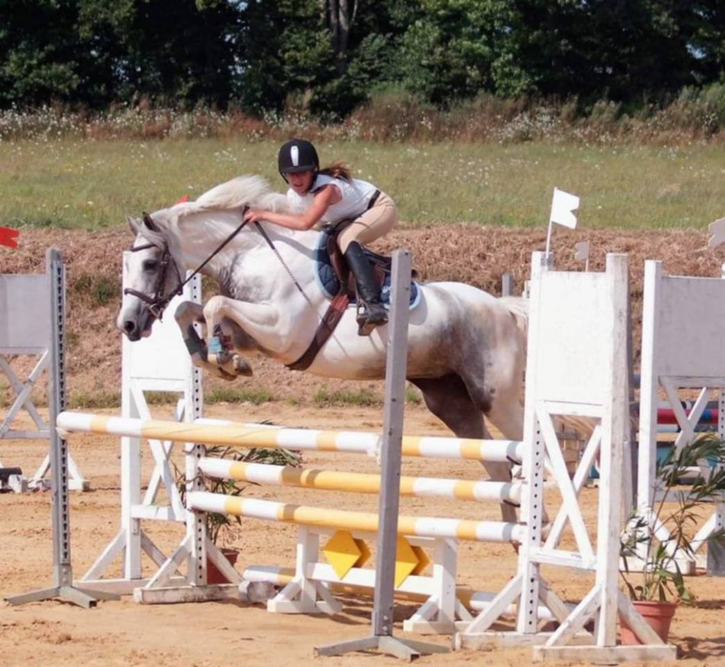 Merrie Franse rijpony PFS Te koop 2025 Bont ,  Dinamique du Ried