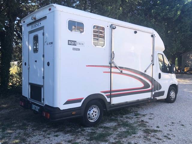 Kleine paardenvrachtwagen (B rijbewijs) Peugeot equitreck 2016 Tweedehands