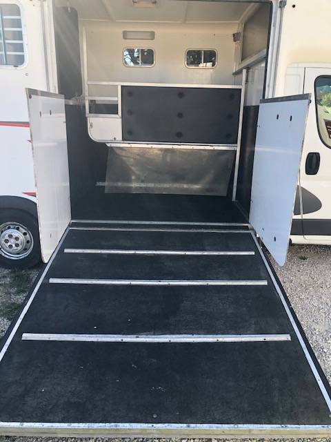 Kleine paardenvrachtwagen (B rijbewijs) Peugeot equitreck 2016 Tweedehands