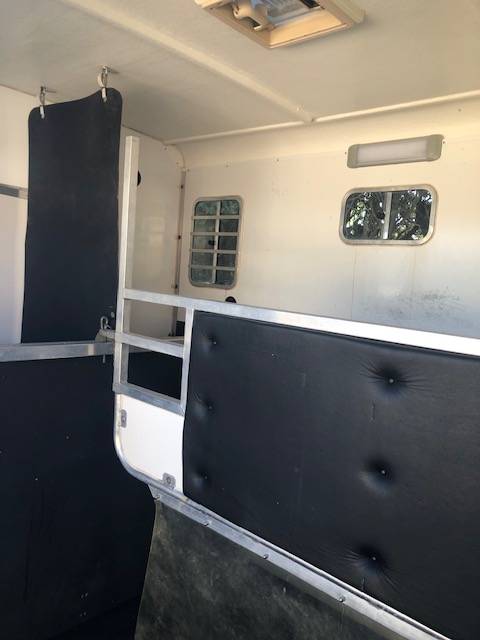 Kleine paardenvrachtwagen (B rijbewijs) Peugeot equitreck 2016 Tweedehands