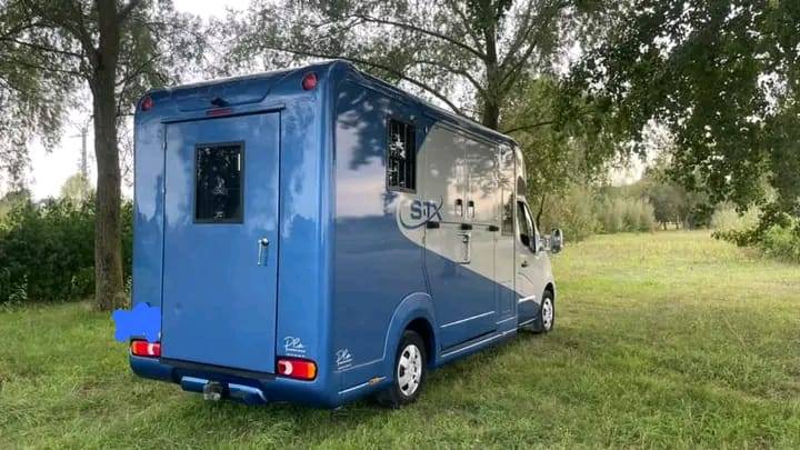 Kleine paardenvrachtwagen (B rijbewijs) Renault Master 2017 Tweedehands