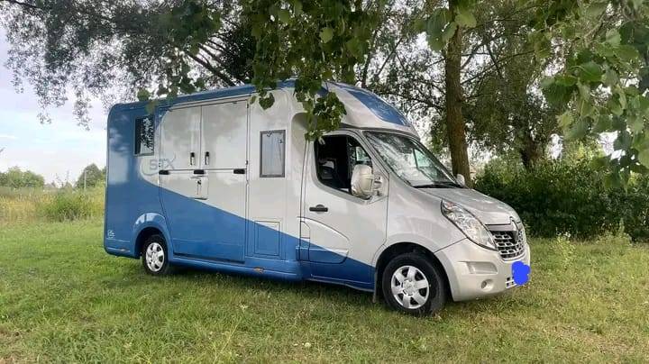 Kleine paardenvrachtwagen (B rijbewijs) Renault Master 2017 Tweedehands