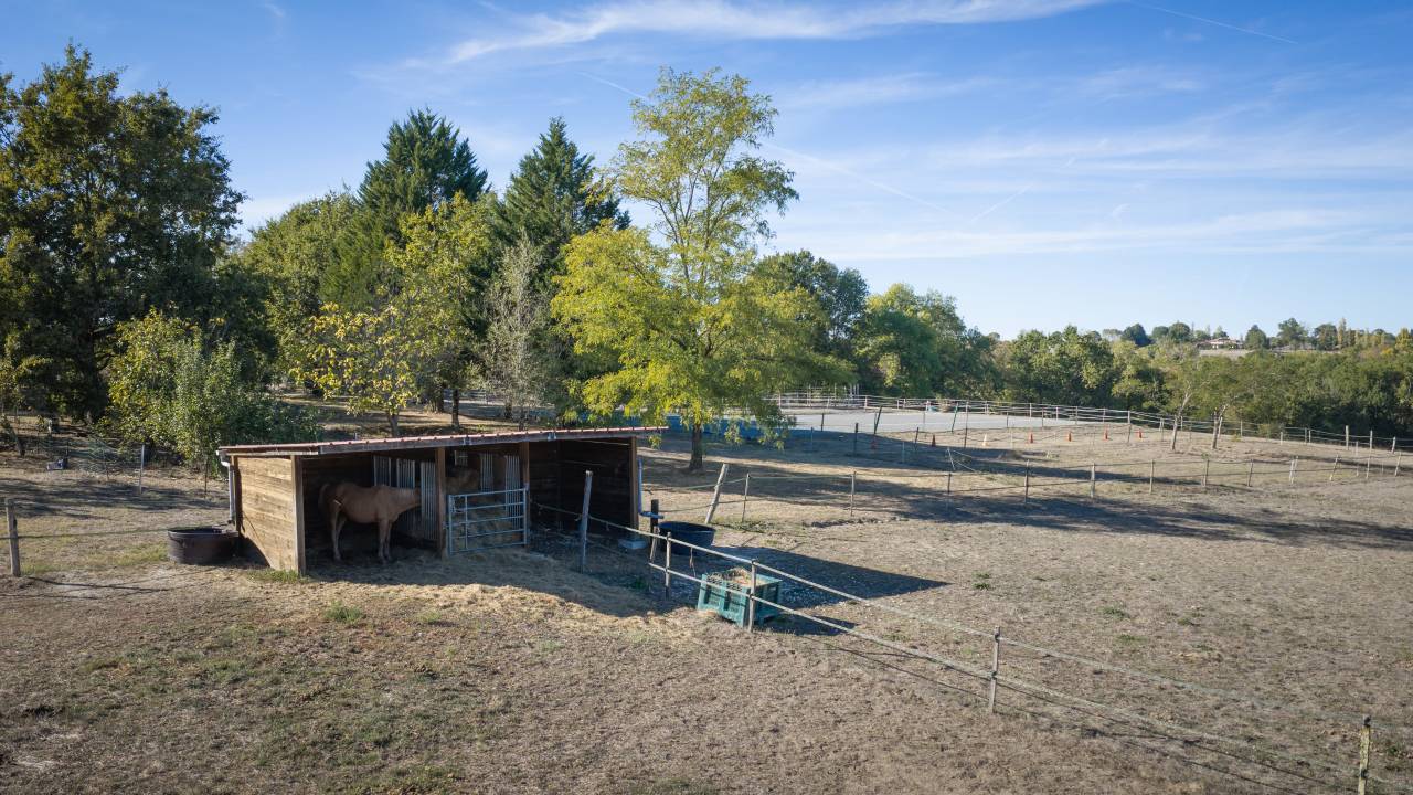 Hippisch vastgoed Koop Gironde