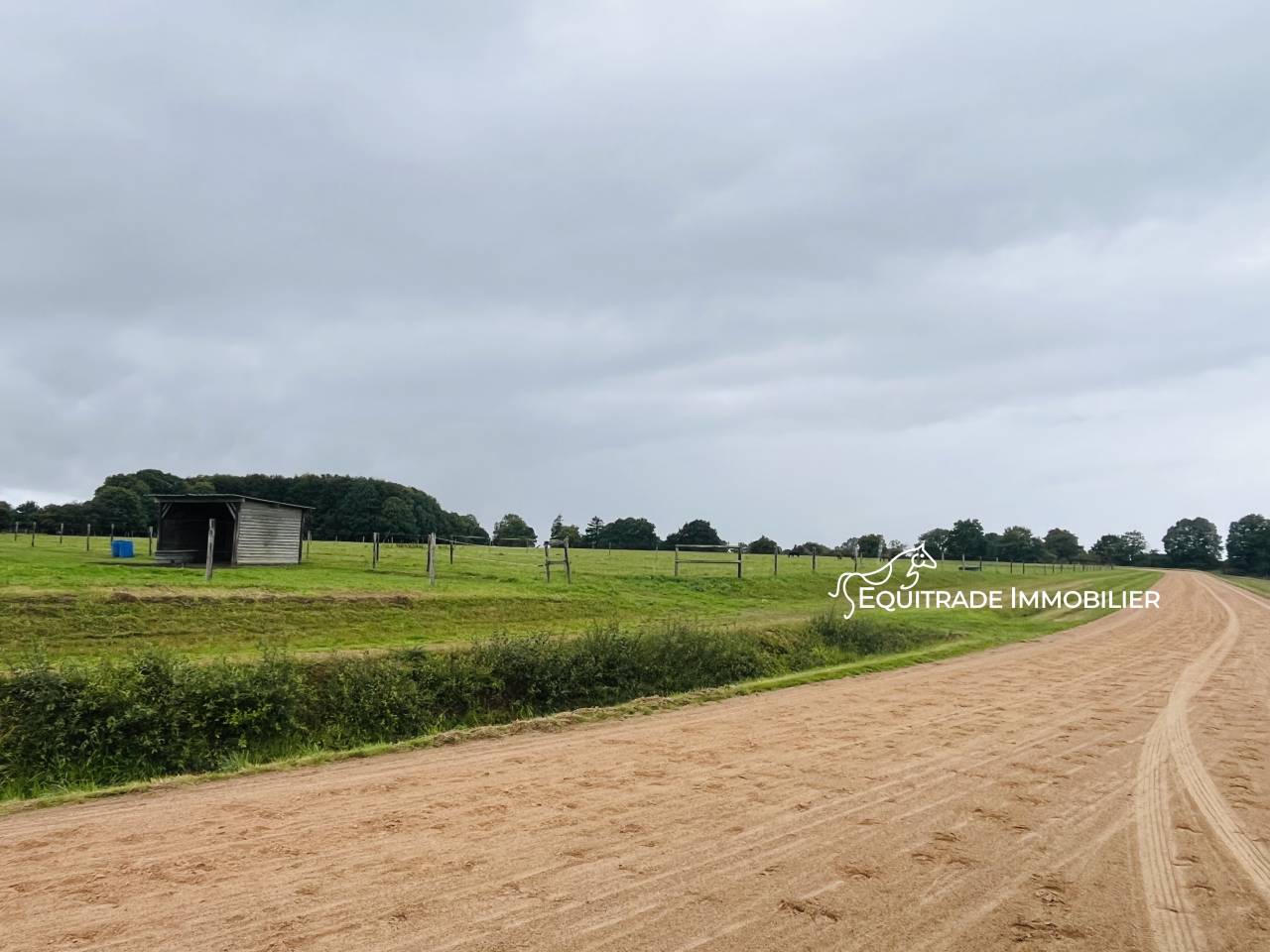 Hippisch vastgoed Koop Manche