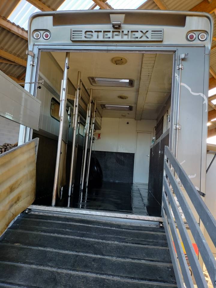Zware paardenvrachtwagen (groot rijbewijs) Iveco STEPHEX 2006 Tweedehands