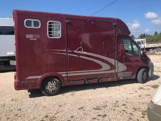 Kleine paardenvrachtwagen (B rijbewijs) Peugeot equitreck 2011 Tweedehands