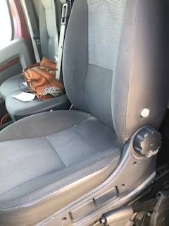 Kleine paardenvrachtwagen (B rijbewijs) Peugeot equitreck 2011 Tweedehands