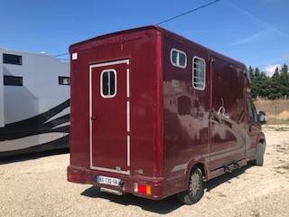 Kleine paardenvrachtwagen (B rijbewijs) Peugeot equitreck 2011 Tweedehands