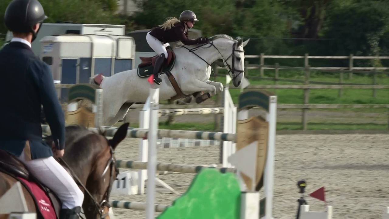 Merrie Holsteiner Te koop 2013 Schimmel ,  DARCO