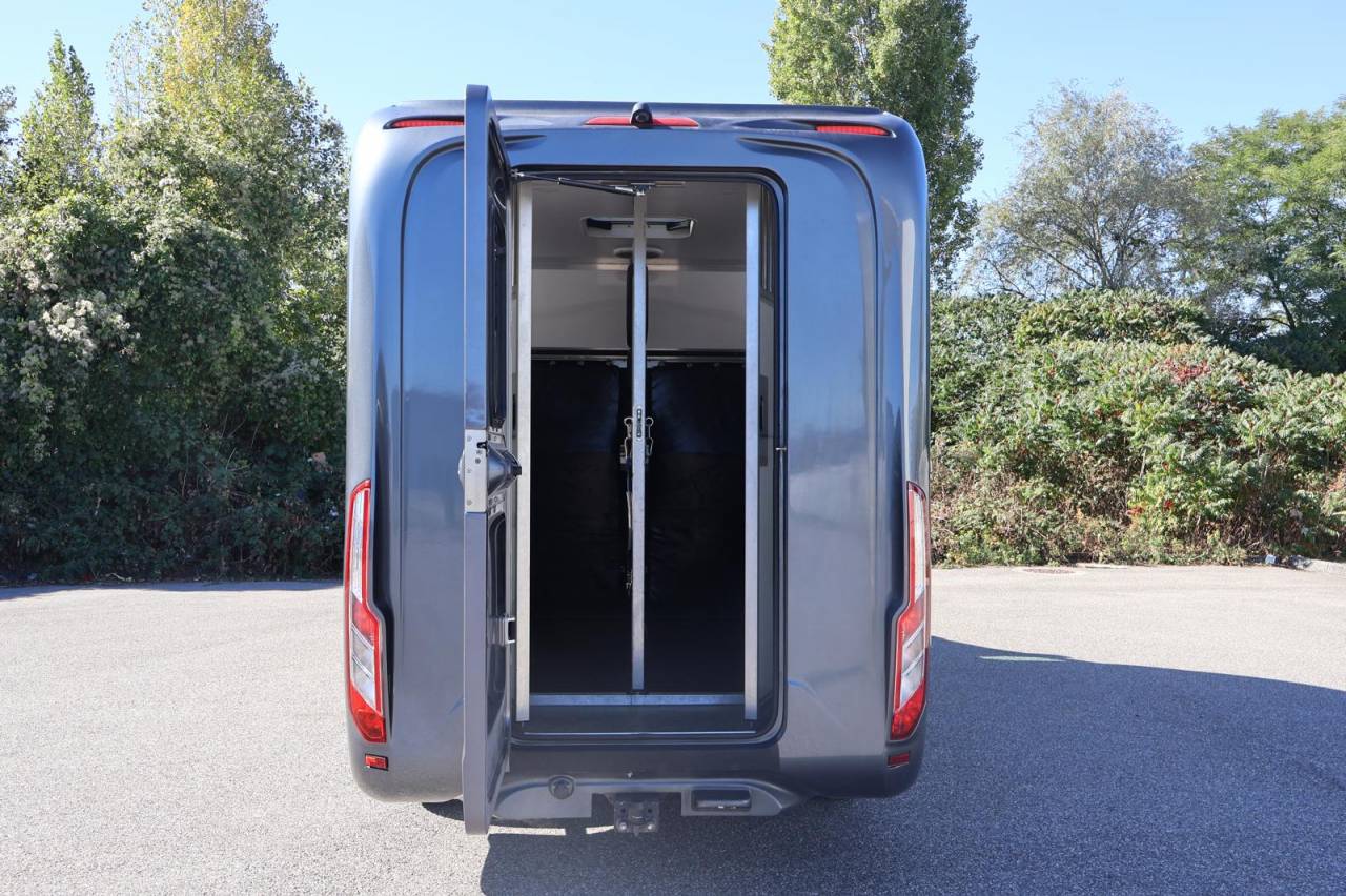 Kleine paardenvrachtwagen (B rijbewijs) Krismar KRISMAR 2021 Tweedehands