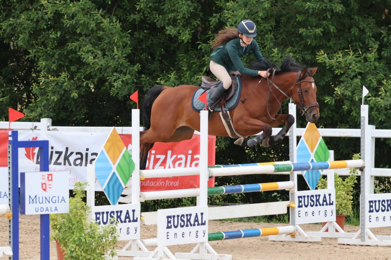 Merrie Andere pony rassen Te koop 2020 Overige kleuren