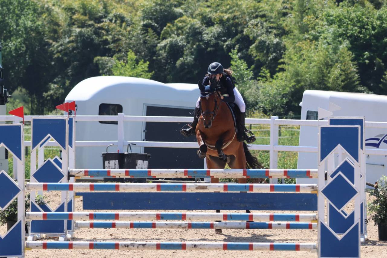 Merrie Andere pony rassen Te koop 2020 Overige kleuren