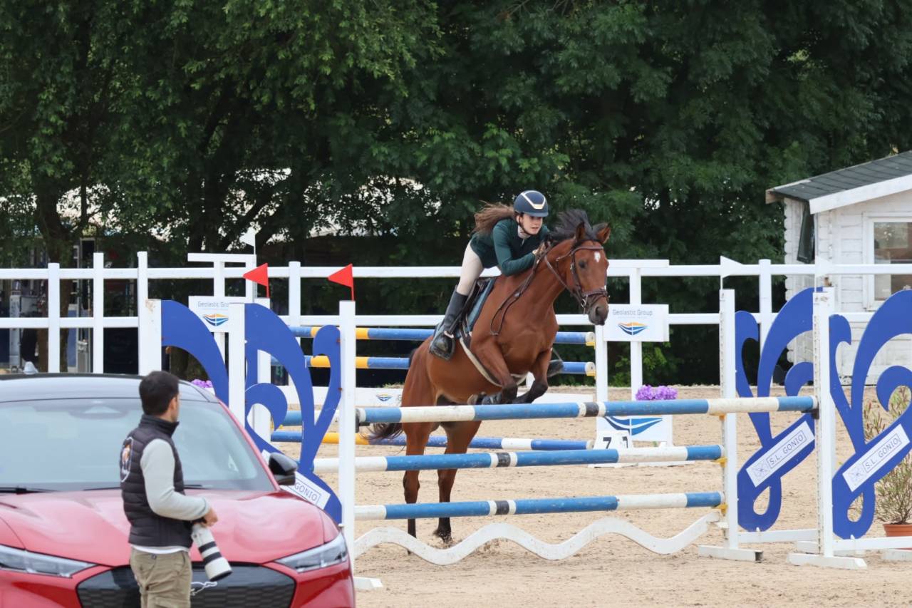 Merrie Andere pony rassen Te koop 2020 Overige kleuren