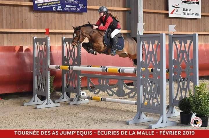 Veulen (vr) Franse rijpony PFS Te koop 2025 Vos ,  Very star kerveyer