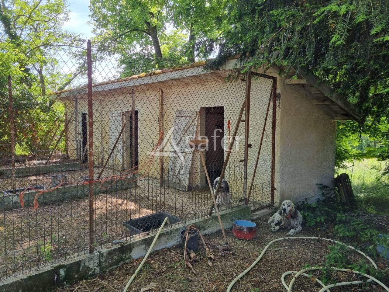 Landbouw bedrijf Koop Haute-Garonne