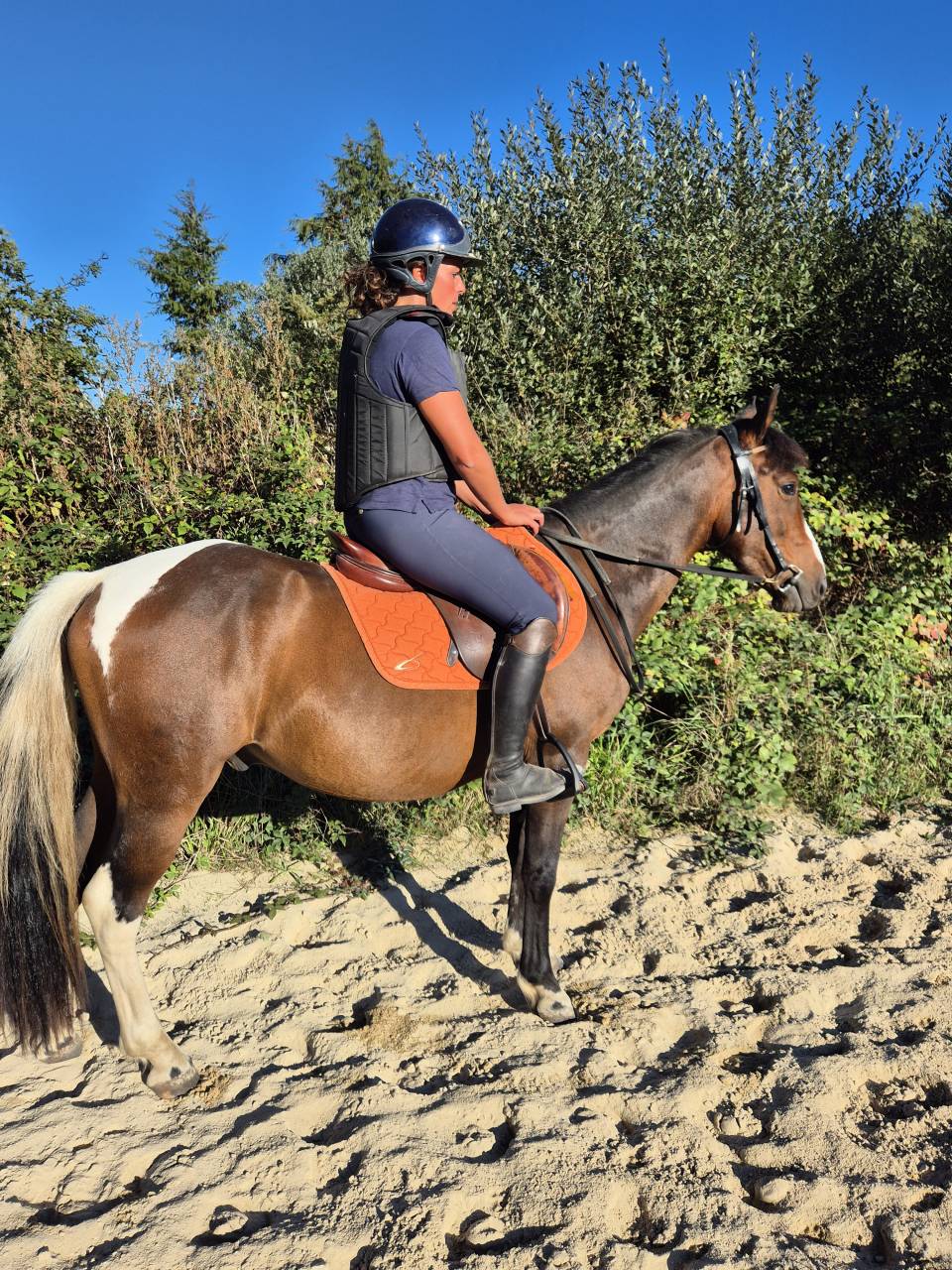 Ruin Bekend ras Te koop 2022 Bont