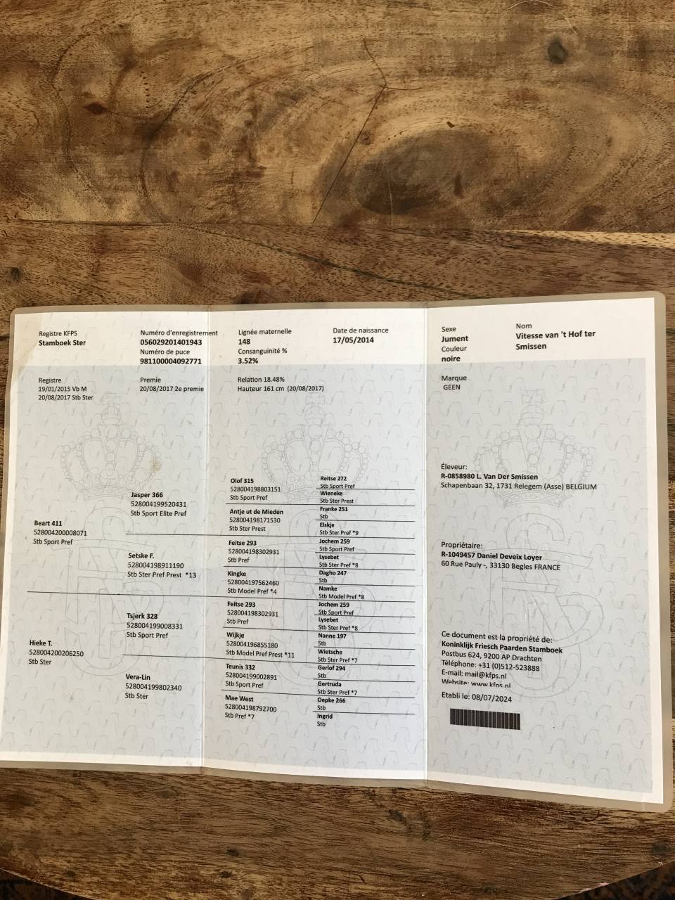 Merrie Fries Te koop 2014 Zwart
