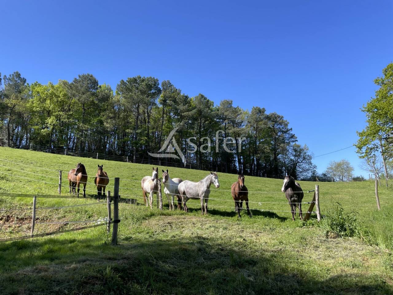 Ander plattelands vastgoed Koop tarn