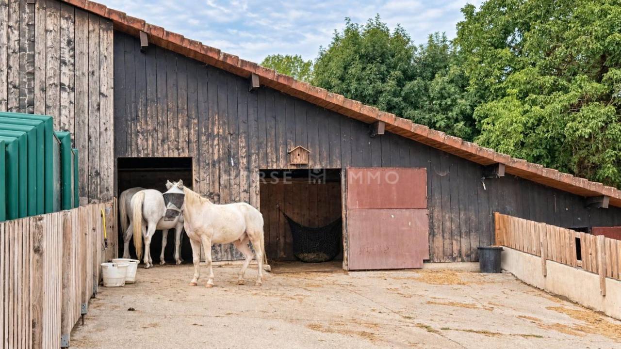 Hippisch vastgoed Koop Haute-Savoie