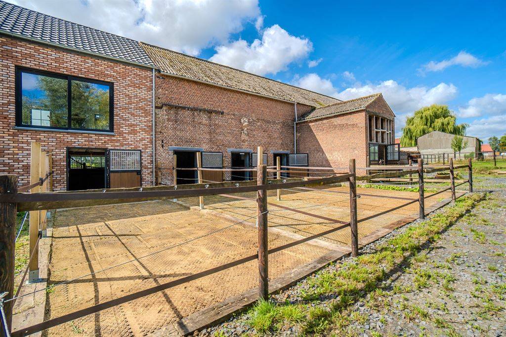 Hippisch vastgoed Koop Hainaut