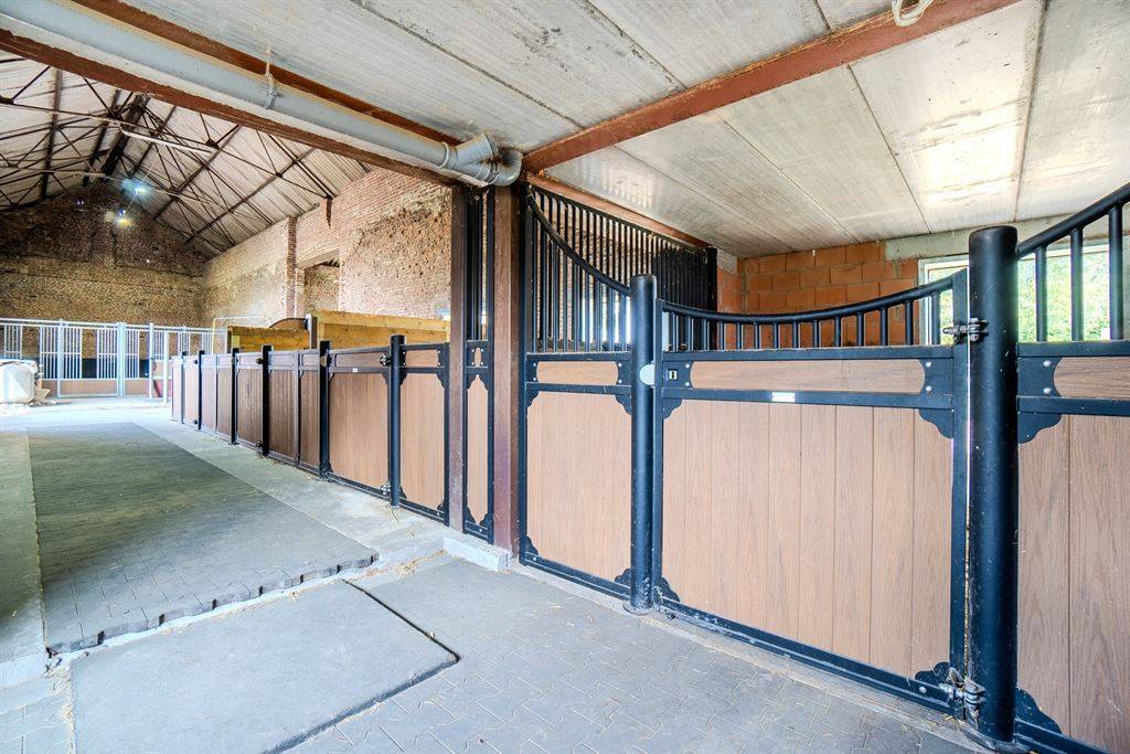 Hippisch vastgoed Koop Hainaut
