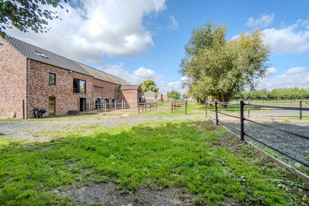 Hippisch vastgoed Koop Hainaut