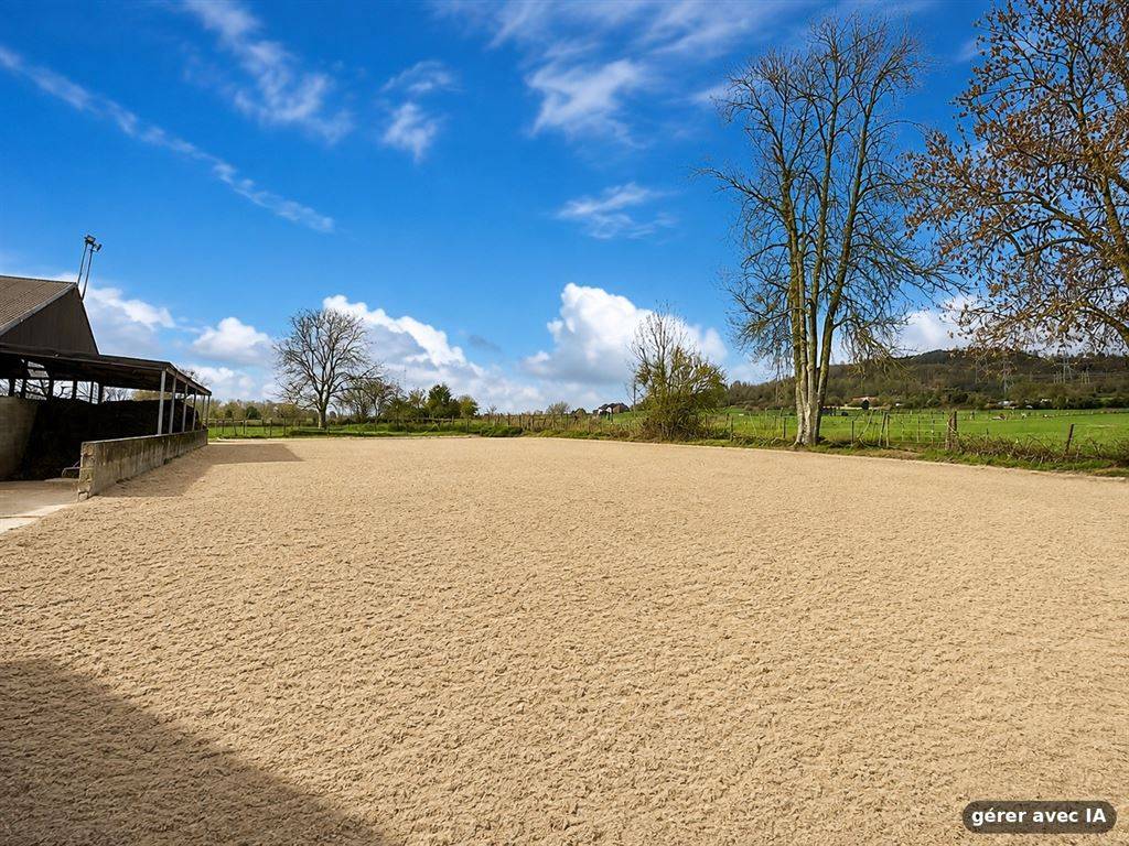 Hippisch vastgoed Koop Hainaut