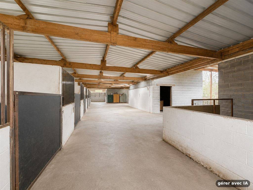Hippisch vastgoed Koop Hainaut