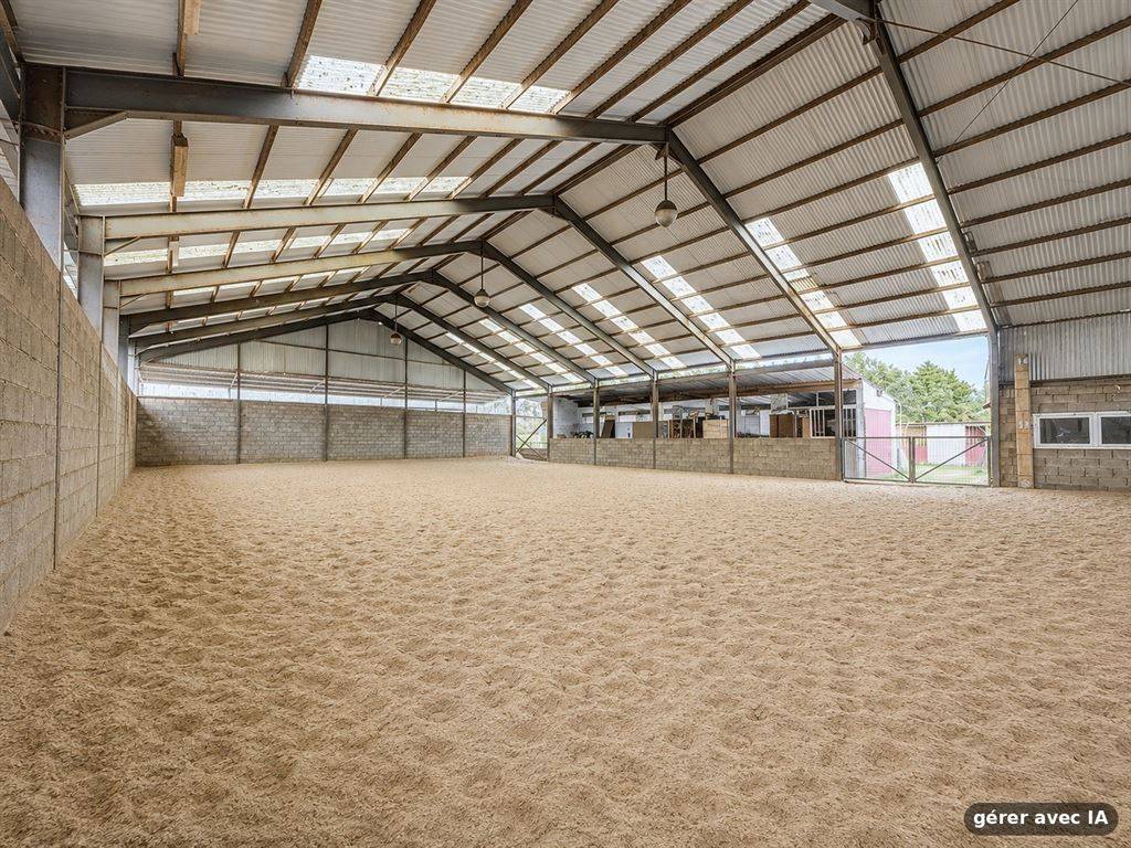 Hippisch vastgoed Koop Hainaut