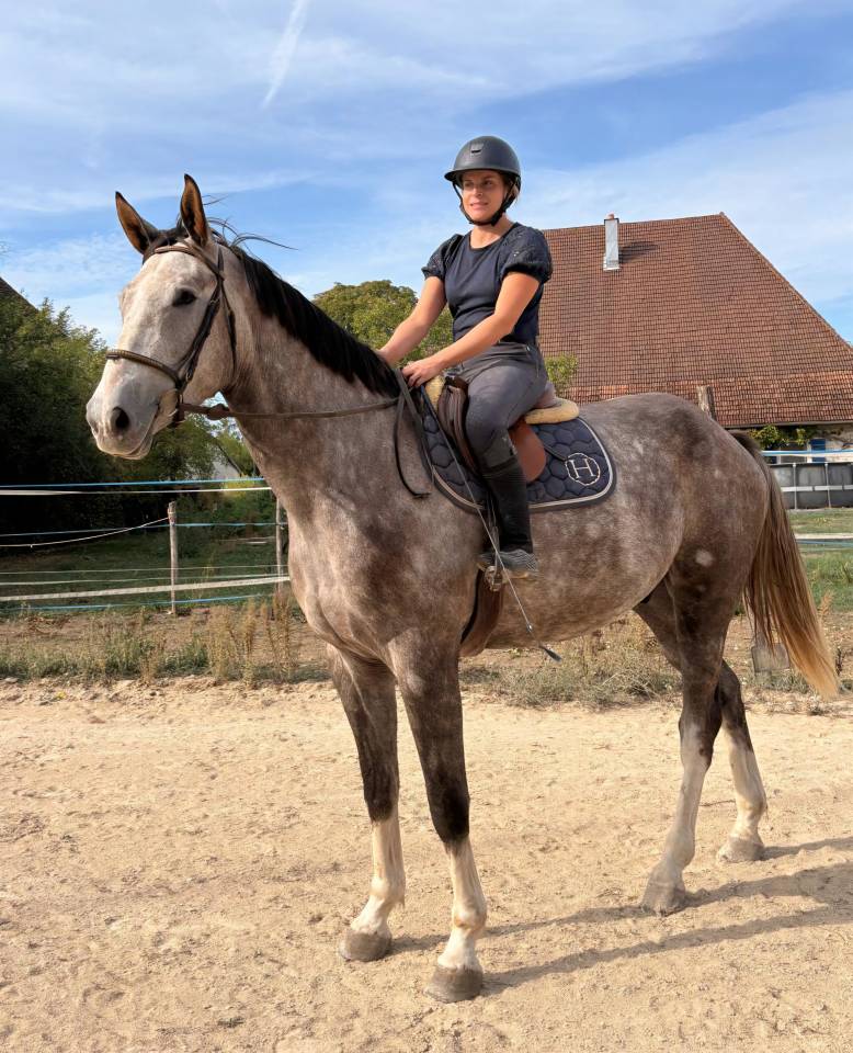 Ruin Selle Fran&ccedil;ais Te koop 2022 Schimmel
