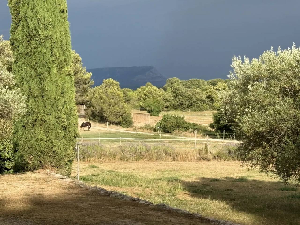 Mooi hippisch vastgoed Koop Bouches-du-Rh&ocirc;ne