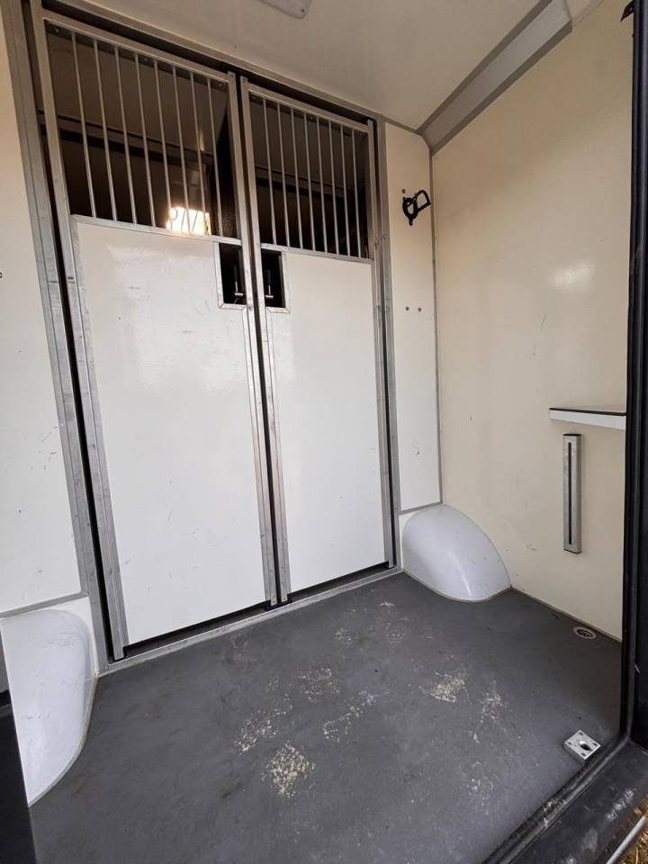 Kleine paardenvrachtwagen (B rijbewijs) Opel Movano 2021 Tweedehands